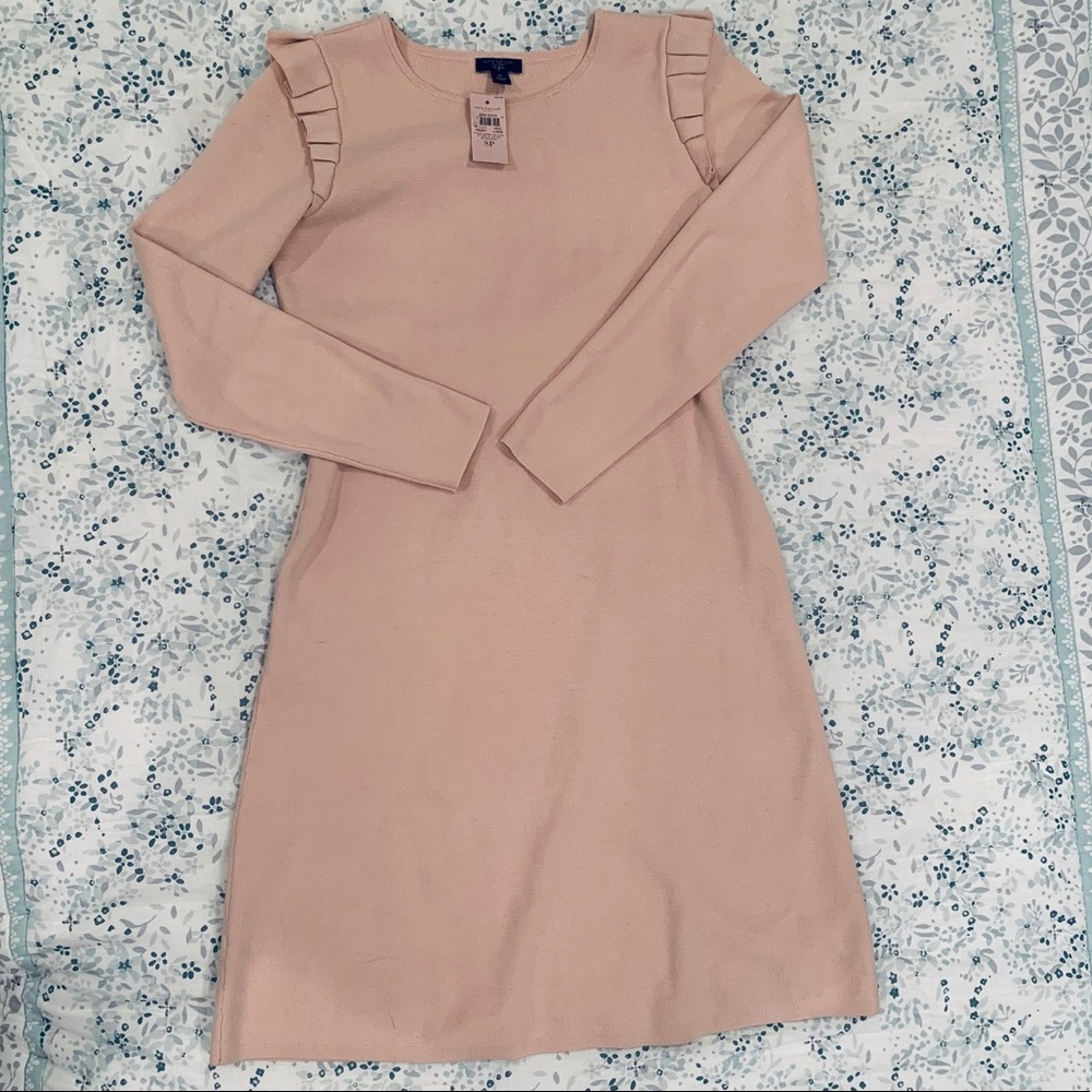 Ann Taylor Dress NWT